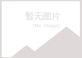 赫山区谷南咨询有限公司